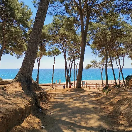 Tulipan 2_playa Fenals Lloret de Mar